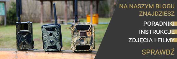 Blog z informacjami o fotopułapkach. Poradniki i por&oacute;wnania zdjęć z fotopułapek