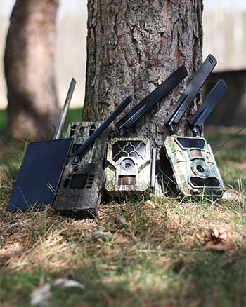 Kilka fotopułapek z panelem solarnym leżące pod drzewem